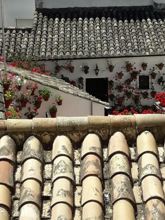 Los Tejares Del Alcazar Kordoba Zewnętrze zdjęcie