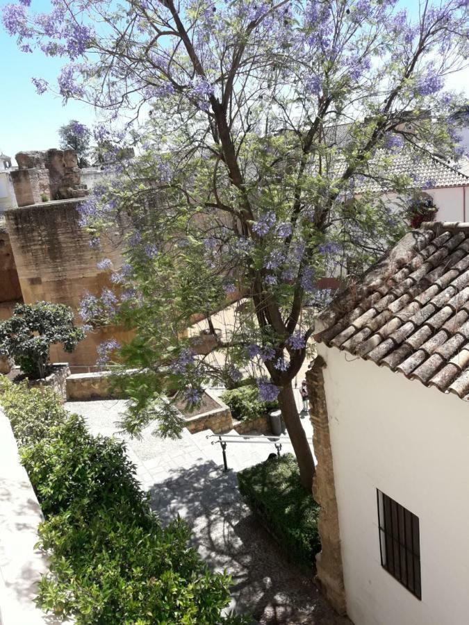 Los Tejares Del Alcazar Kordoba Zewnętrze zdjęcie